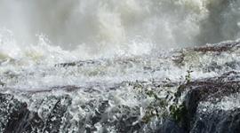 Whitewater Release