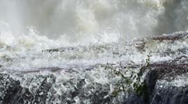 Whitewater Release
